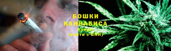 индика Белокуриха