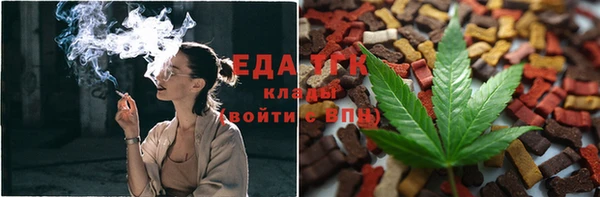 индика Белокуриха