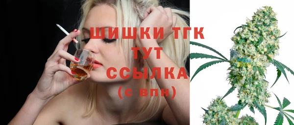 шишки Балахна