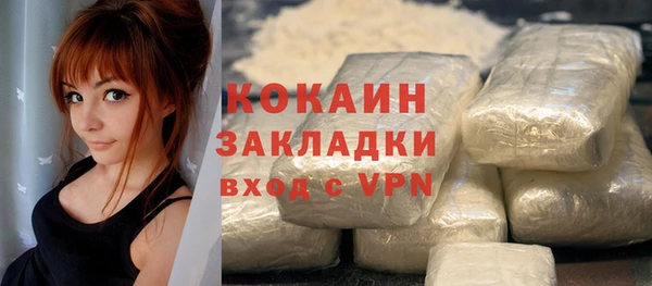 шишки Балахна