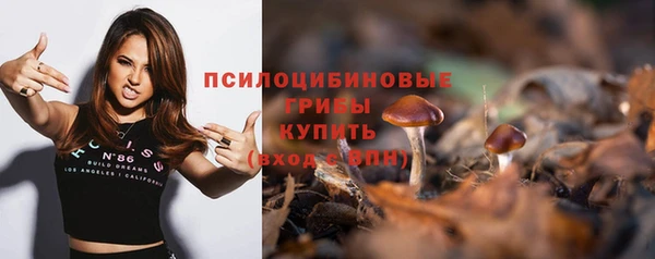 индика Белокуриха
