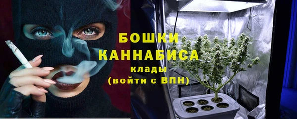 шишки Балахна