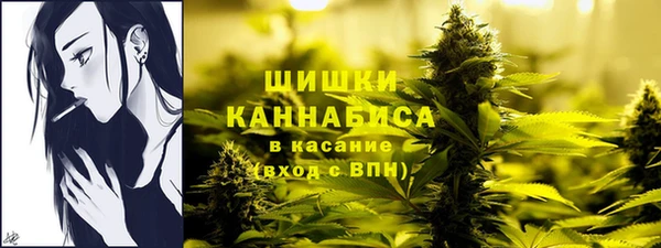шишки Балахна