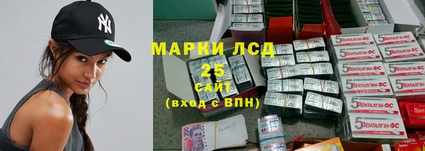 шишки Балахна