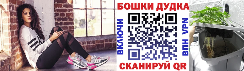 Канабис Ganja  Невель 
