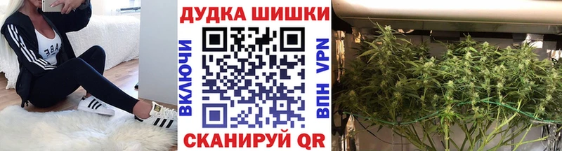 Бошки Шишки сатива Невель